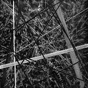 bw110114 | 120x120 cm