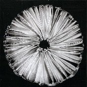 bw1510317 | 20x20 cm