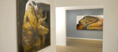 _yoakim belanger_BR_
LEAVING AMBER- solo show (20